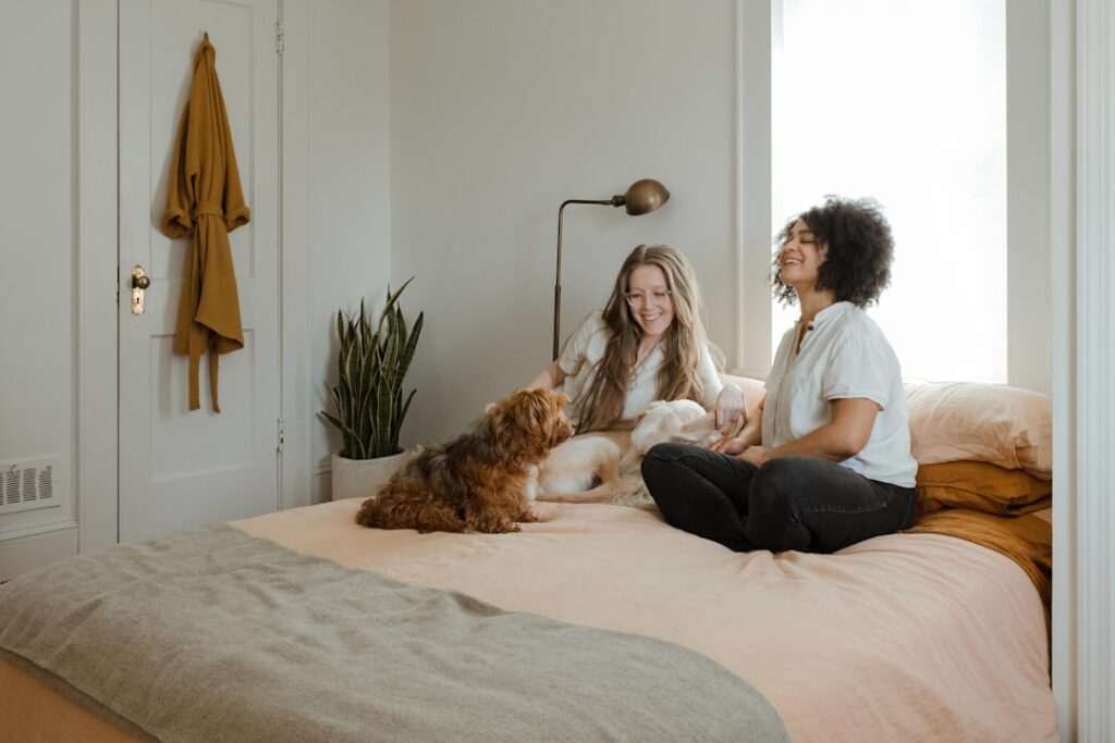Pet Products That Keep Your Pets Happy and Comfortable