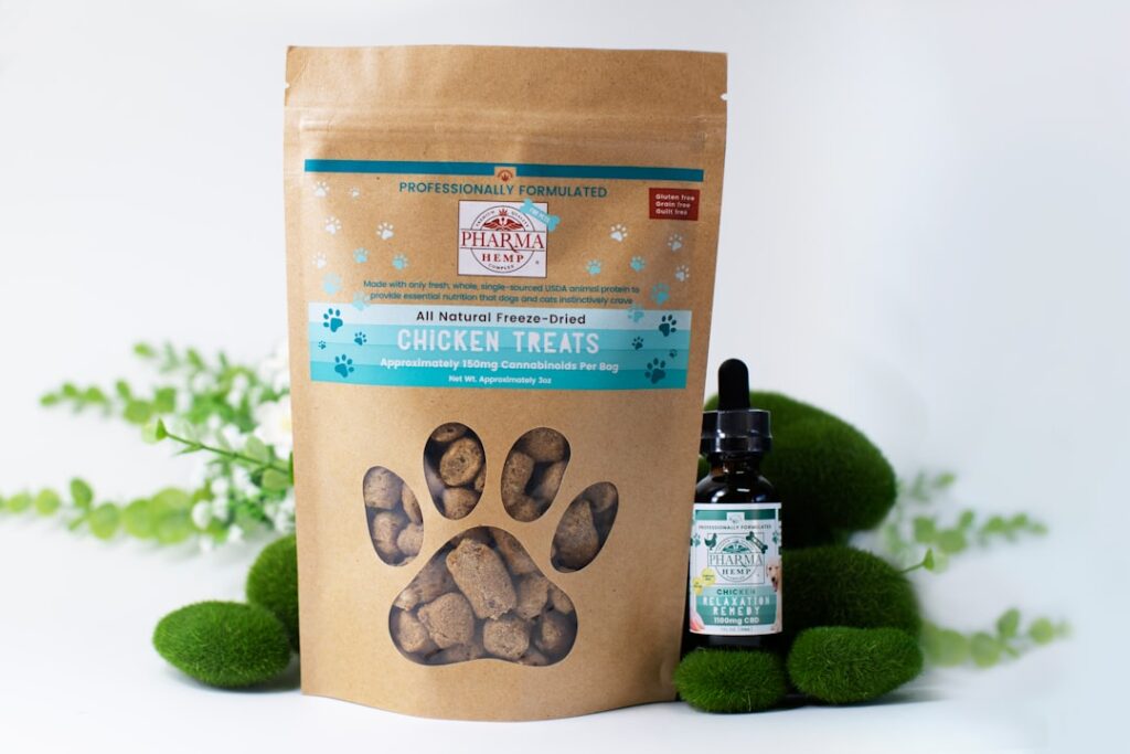Simple Pet Care Gear Every Pet Owner Should Know About